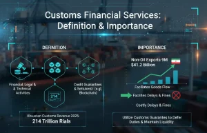 Customs financial services
