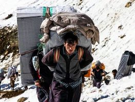 مجوز واردات مواد اولیه پتروشیمی از طریق کولبری و ملوانی صادر شد