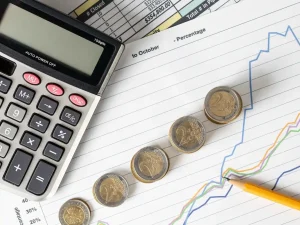 Customs accounting 
