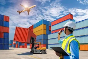 ترخیص کالا به تفکیک نوع